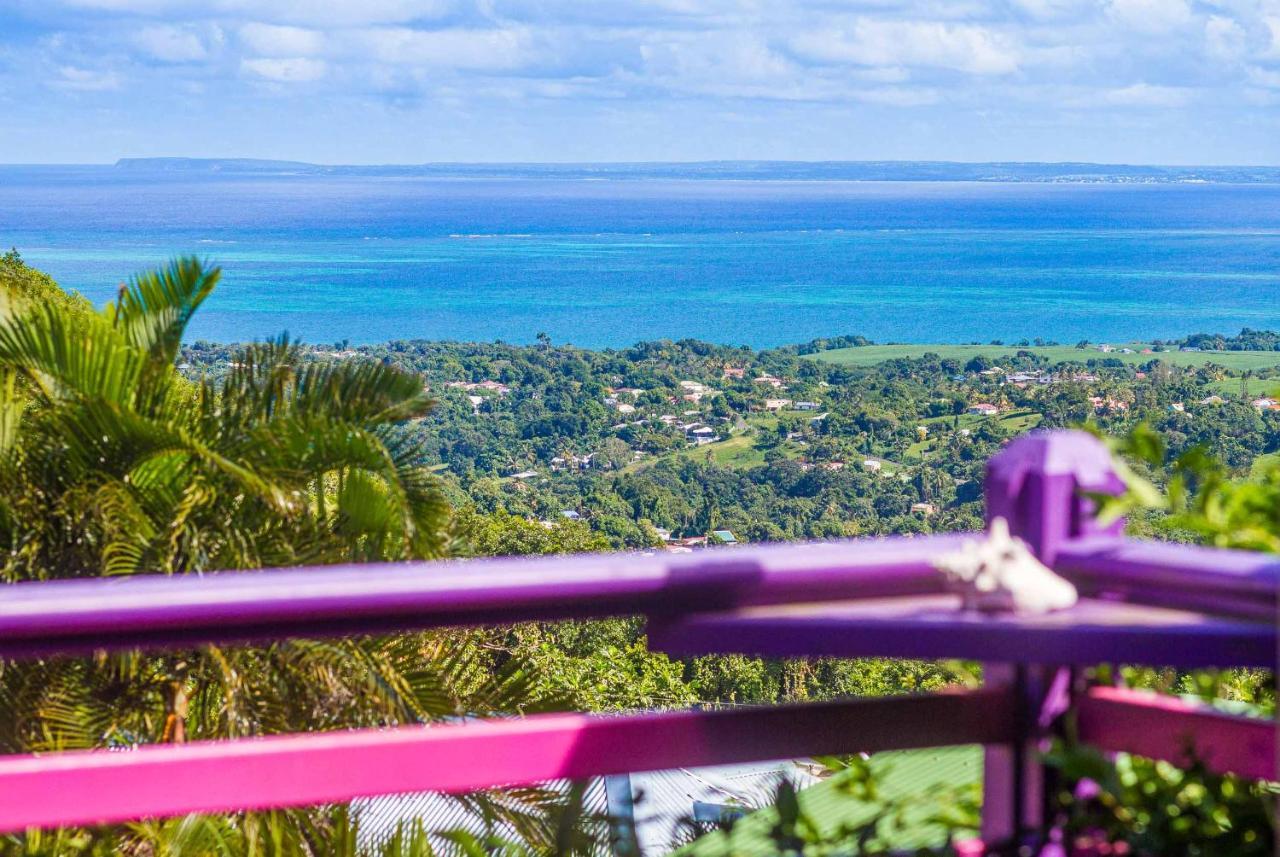 Piton Bungalows Ecolodges Deshaies Exteriör bild