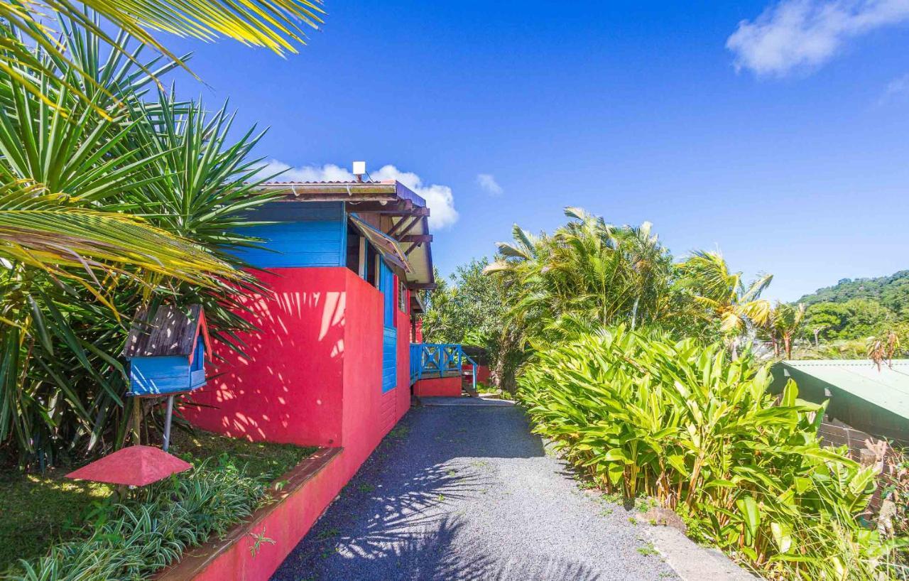 Piton Bungalows Ecolodges Deshaies Exteriör bild