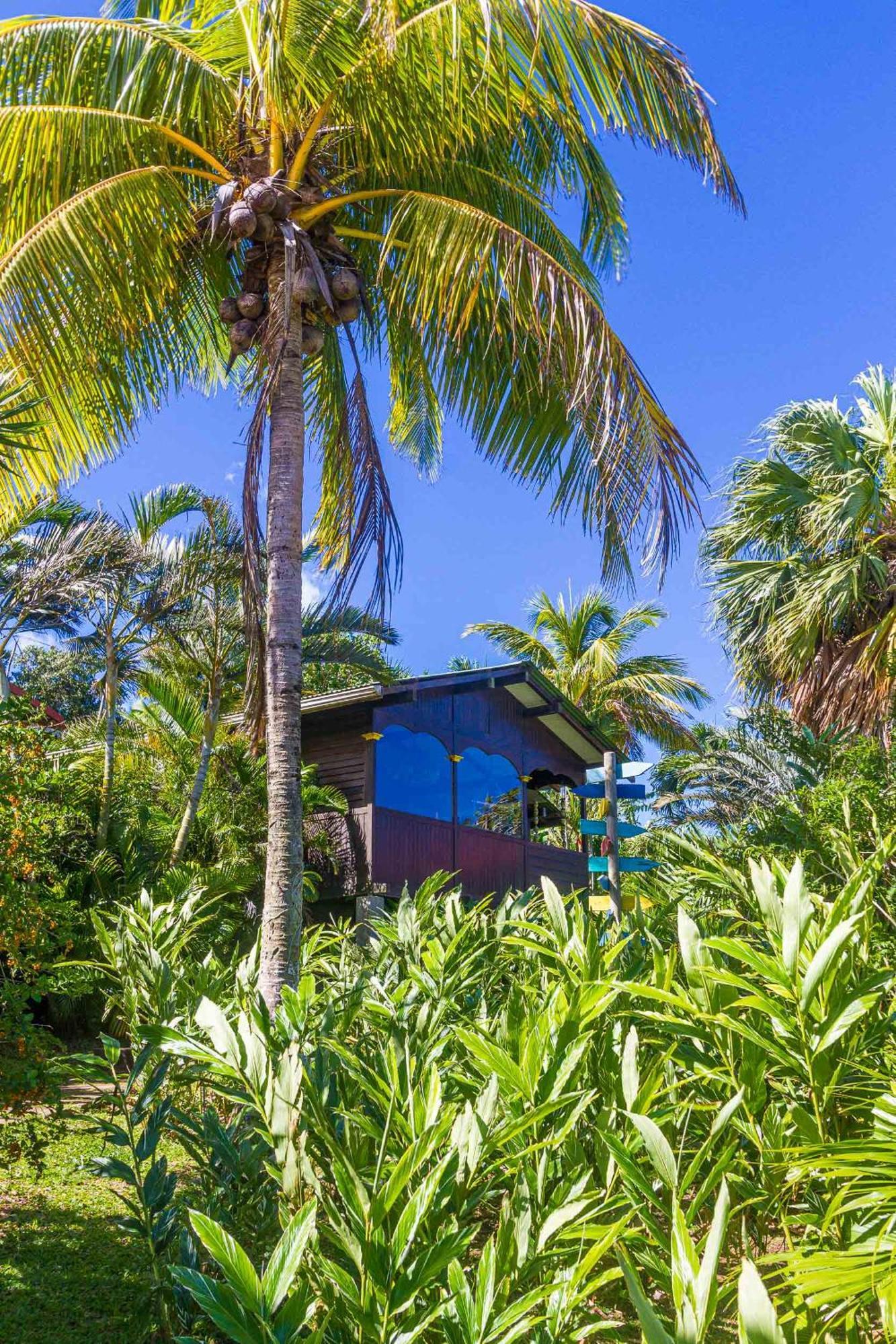 Piton Bungalows Ecolodges Deshaies Exteriör bild