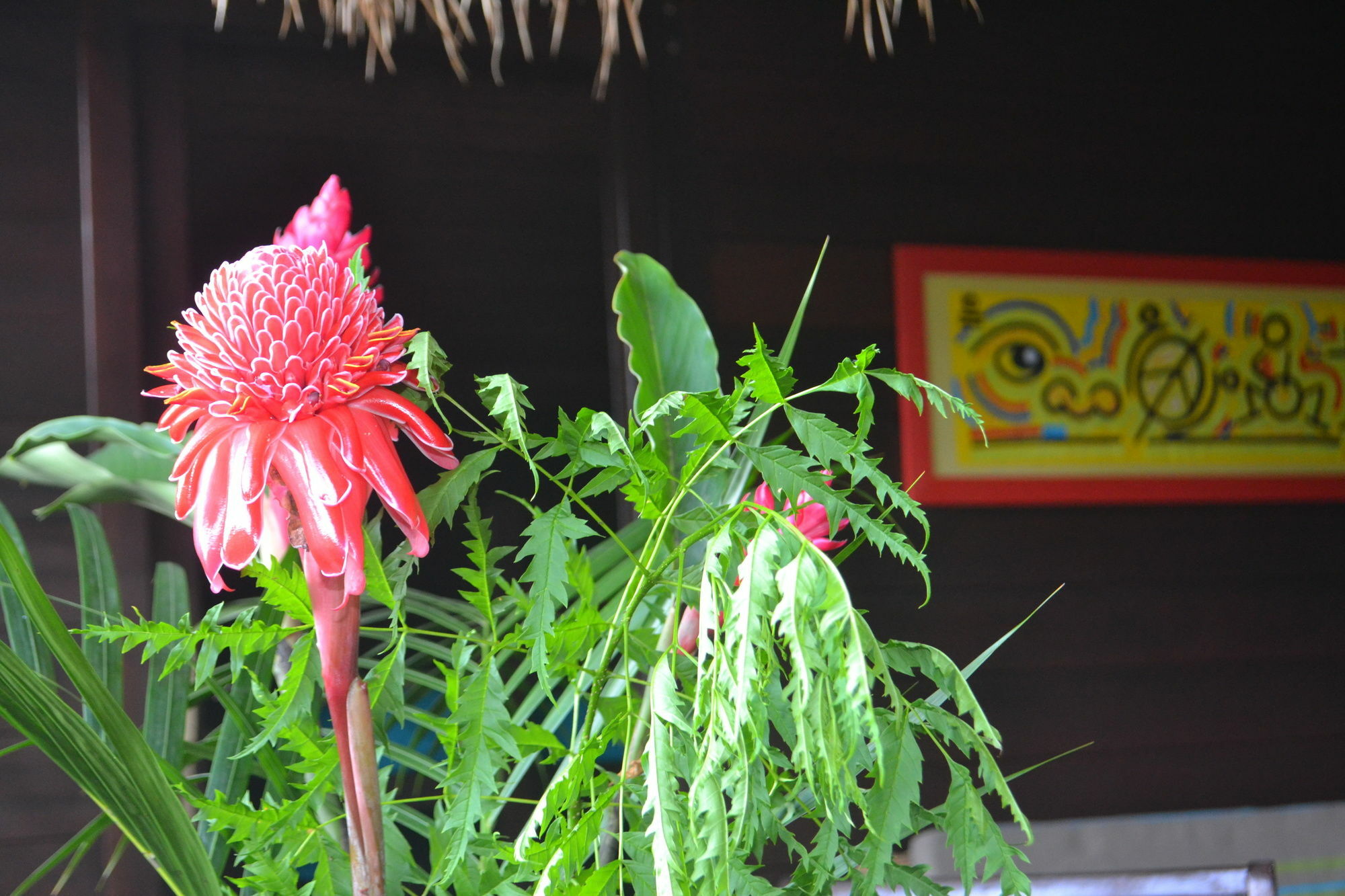 Piton Bungalows Ecolodges Deshaies Exteriör bild