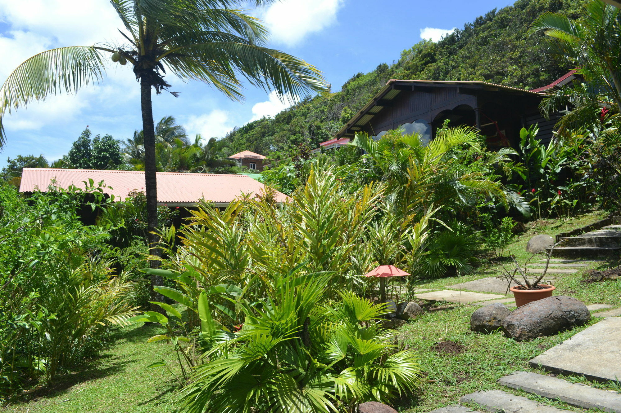Piton Bungalows Ecolodges Deshaies Exteriör bild