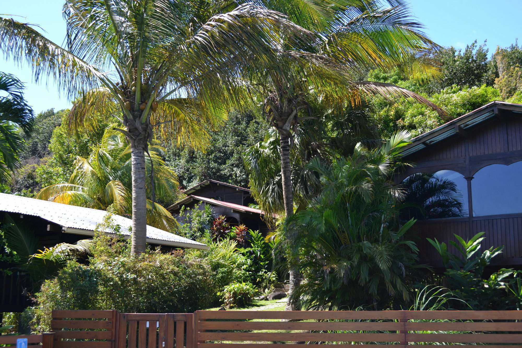Piton Bungalows Ecolodges Deshaies Exteriör bild